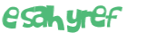 Captcha-Test