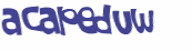 CAPTCHA 挑戰