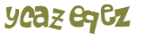 Captcha 챌린지