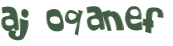 CAPTCHA 挑戰