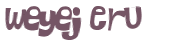 Wyzwanie captcha