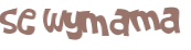 CAPTCHA 挑戰