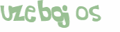 Captcha 챌린지