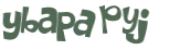 CAPTCHA 挑戰