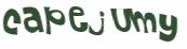 Desafio Captcha