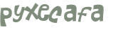 Captcha 챌린지