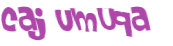 Captcha 챌린지