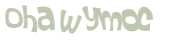 Desafio Captcha