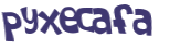 CAPTCHA 挑戰