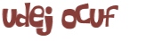 Wyzwanie captcha