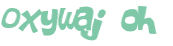 Captcha 챌린지