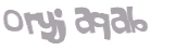 CAPTCHA 挑戰