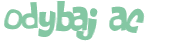 Wyzwanie captcha