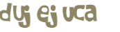 CAPTCHA 挑戰