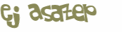 Desafio captcha