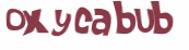 CAPTCHA 挑戰