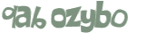 Wyzwanie captcha