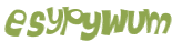 CAPTCHA 挑戰