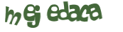 Desafio captcha