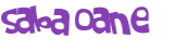 Wyzwanie captcha