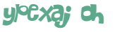 CAPTCHA 挑戰