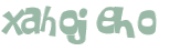 Captcha 챌린지