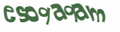 Captcha 챌린지