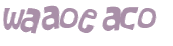 CAPTCHA 挑戰
