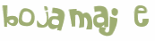 Desafio captcha