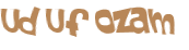 Wyzwanie captcha