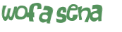 CAPTCHA 挑戰