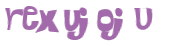 CAPTCHA 挑戰