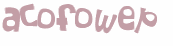 Desafio Captcha