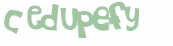 Captcha 챌린지