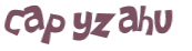 Wyzwanie captcha