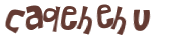 Desafio captcha