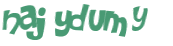 Captcha-Test