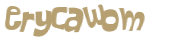 CAPTCHA 挑戰