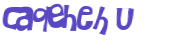 Desafio captcha