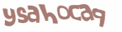 CAPTCHA 挑戰