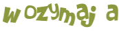 Wyzwanie captcha