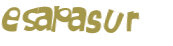 Prueba Captcha