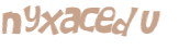 CAPTCHA 挑戰
