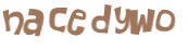 Captcha 챌린지