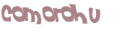 Desafio captcha