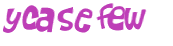 CAPTCHA 挑戰