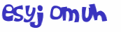 Captcha-udfordring