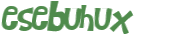 CAPTCHA 挑戰
