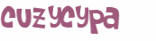 CAPTCHA 挑戰