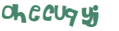 Captcha 챌린지